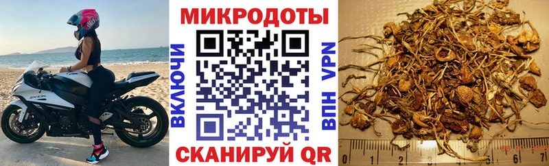 блэк спрут ТОР  Гаджиево  Галлюциногенные грибы мухоморы  что такое  